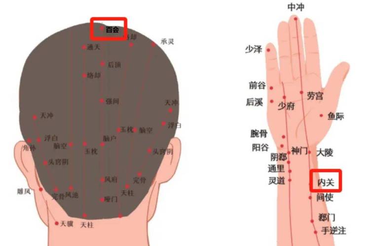 改善勃起的按摩穴位