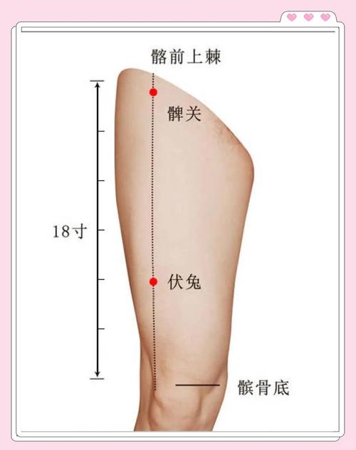 那些穴位能治疗麻痹