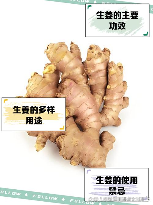 类风湿患者能吃生姜吗