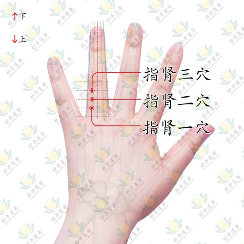 治疗肾病的针炙穴位