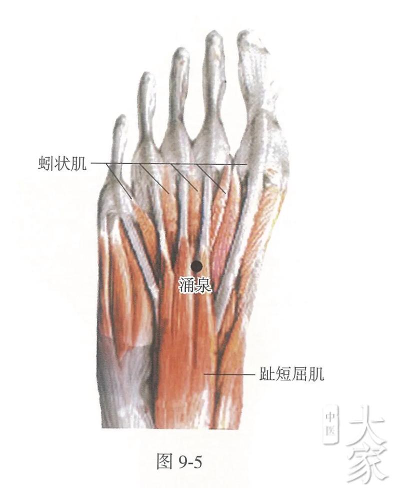 大脚拇指下面的穴位