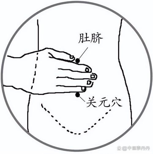 女性回春穴位位置图