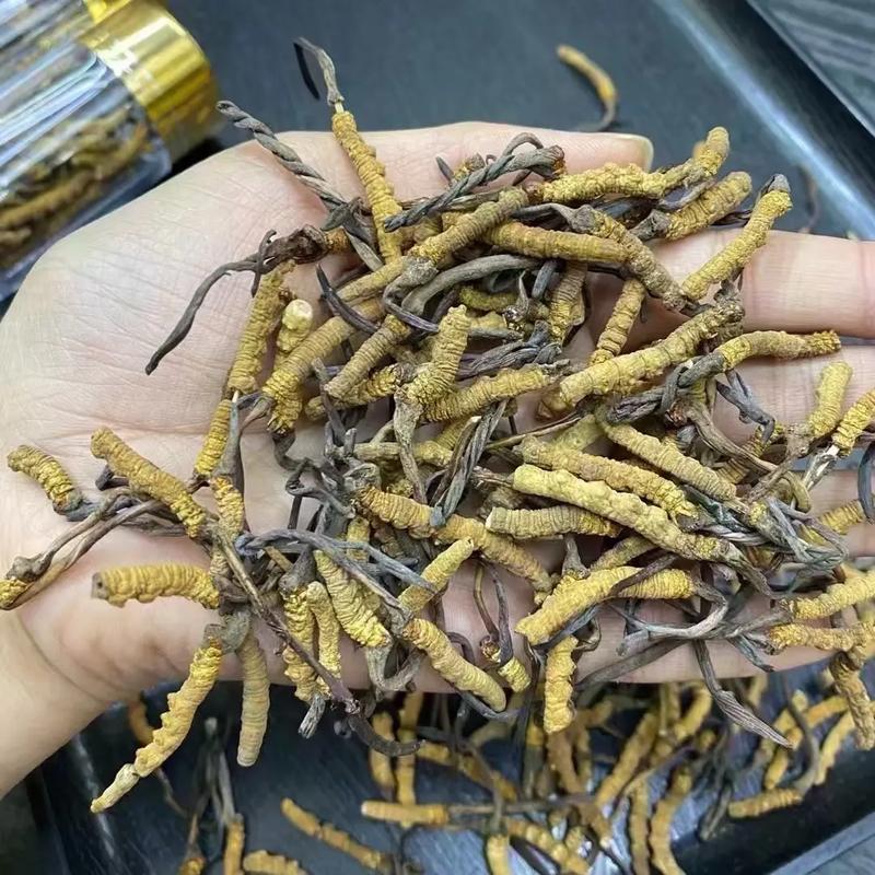 泰国纯中药风湿断根草