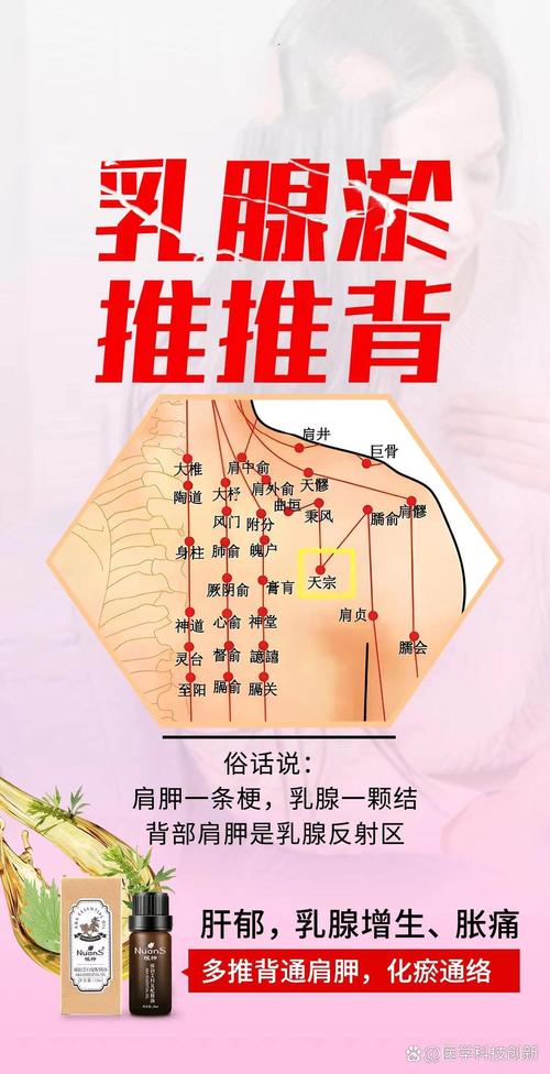 乳腺对应的背部穴位