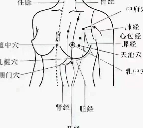乳腺对应的背部穴位