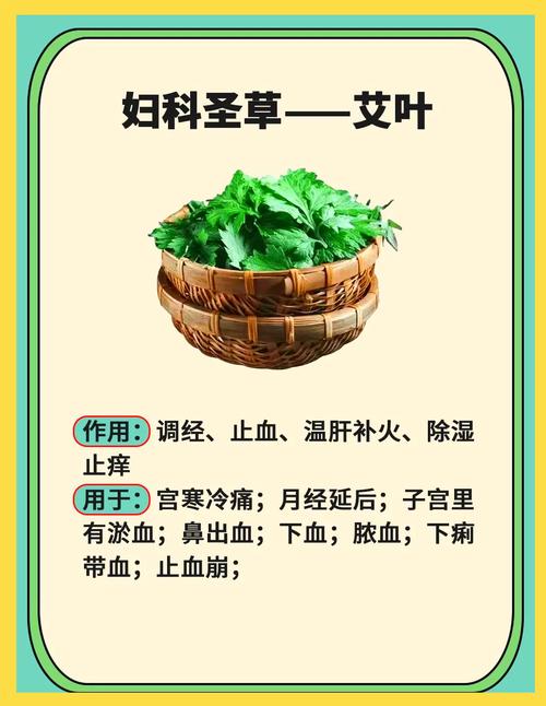 艾草对风湿有什么帮助