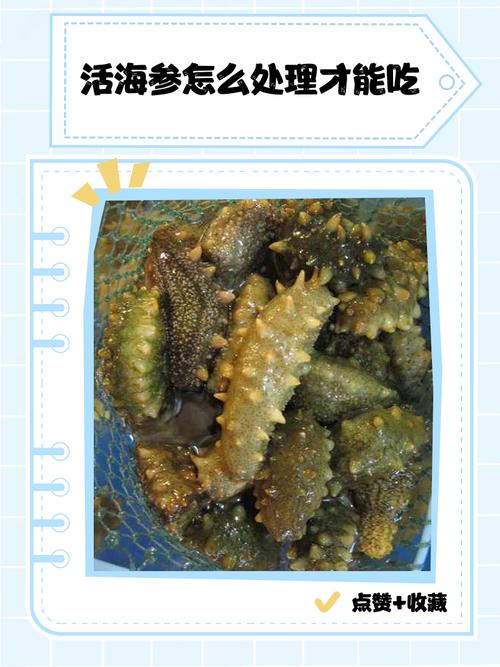 脑梗病人可以吃海参吗