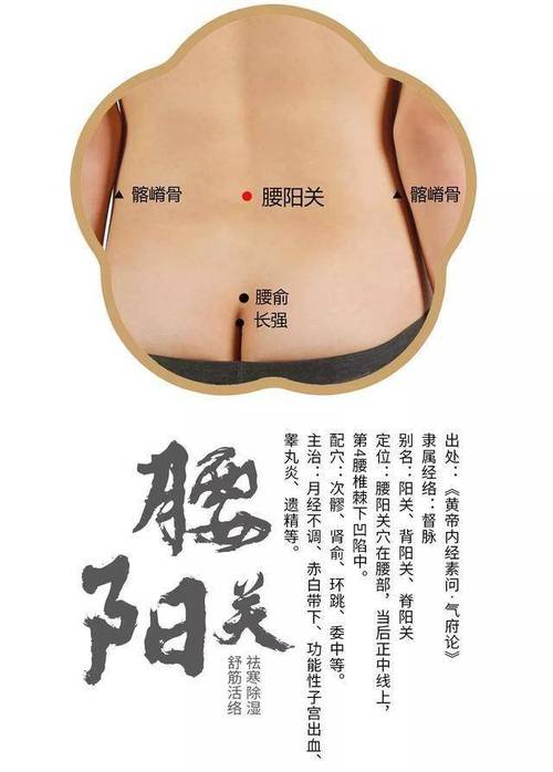 人体穴位阴阳穴在哪