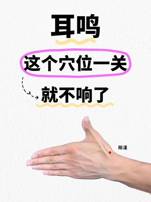 耳鸣按哪个穴位视频
