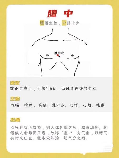 胸口那个穴位叫什么