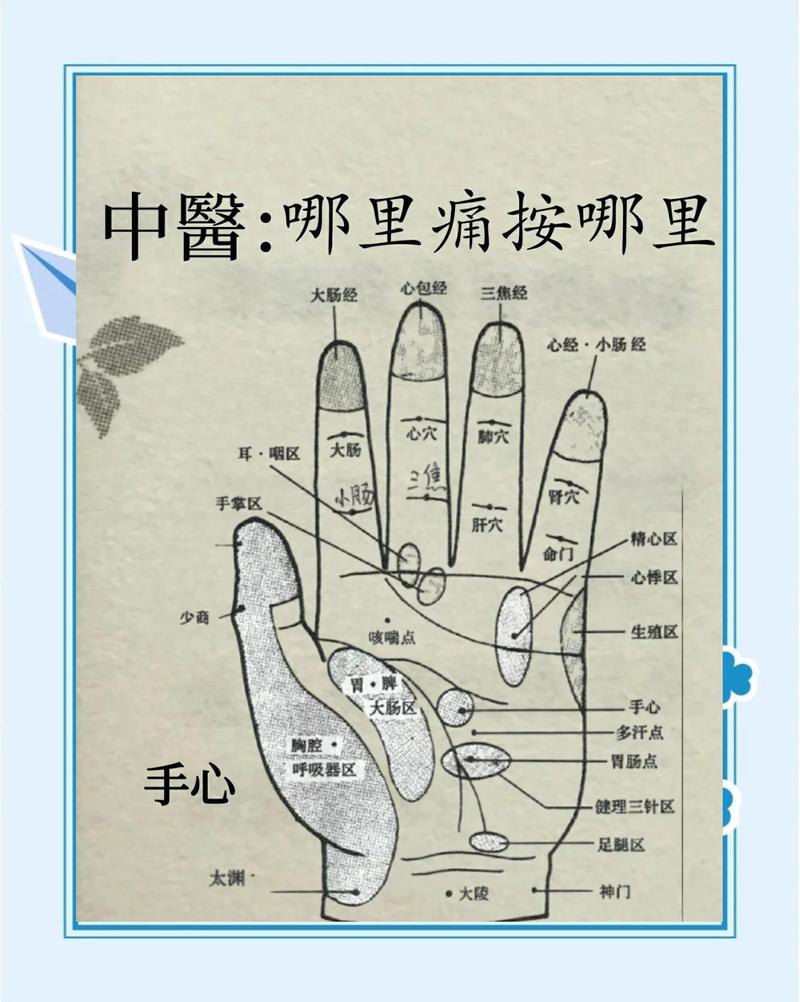 人体手部穴位的功效