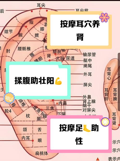 阳痿主要穴位按那个