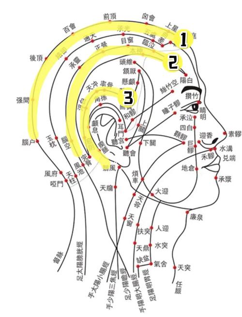 头部手术按那个穴位