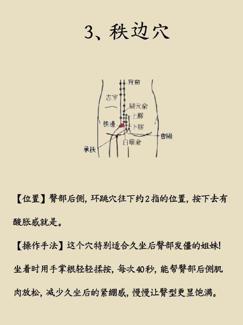 人体胯部有什么穴位