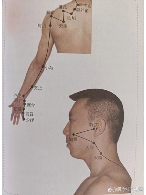 小肠经起于什么穴位
