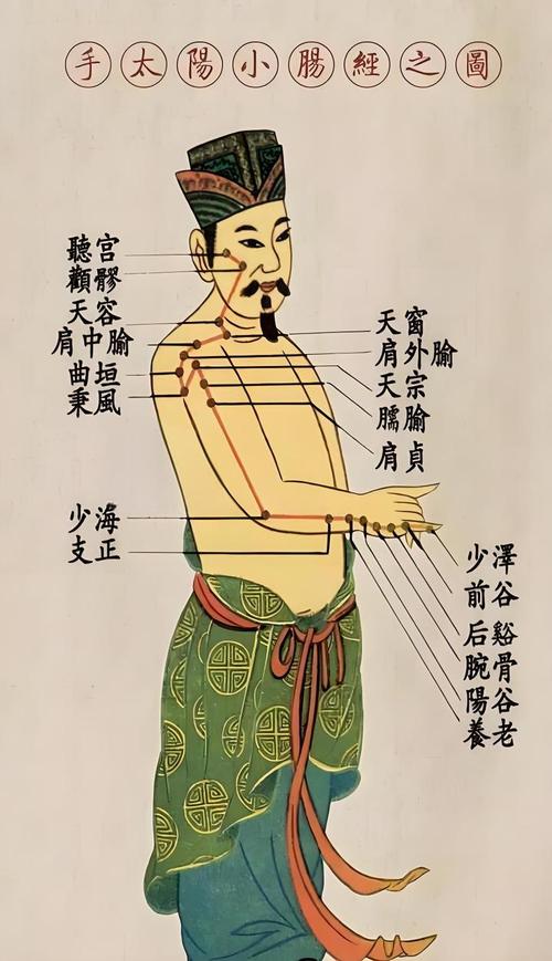 小肠经起于什么穴位