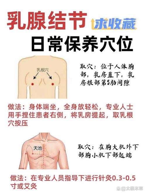 乳房中间叫什么穴位