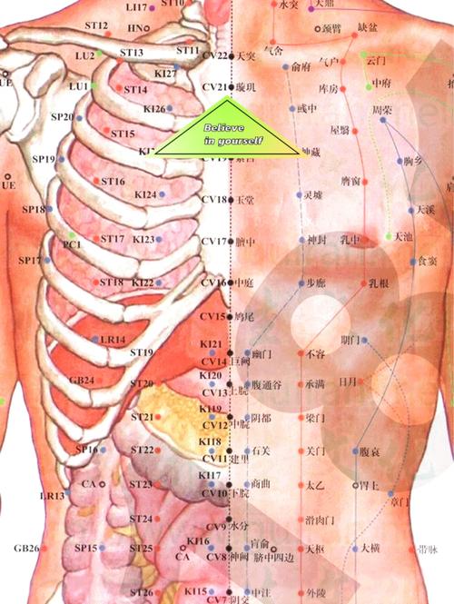 乳房中间叫什么穴位