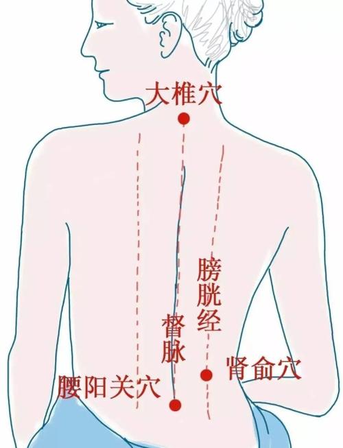大椎穴位经络走向图