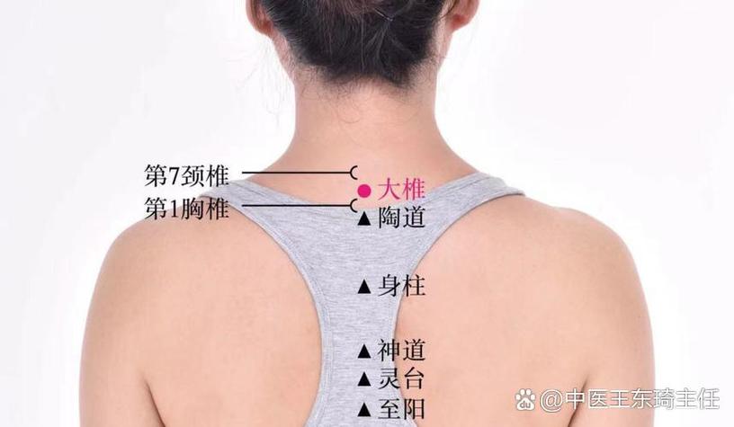 大椎穴位经络走向图