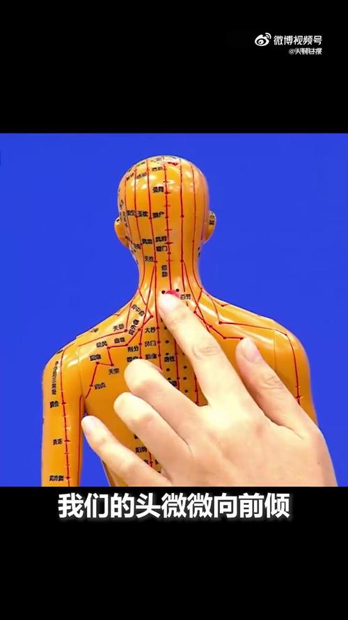 大椎穴位经络走向图