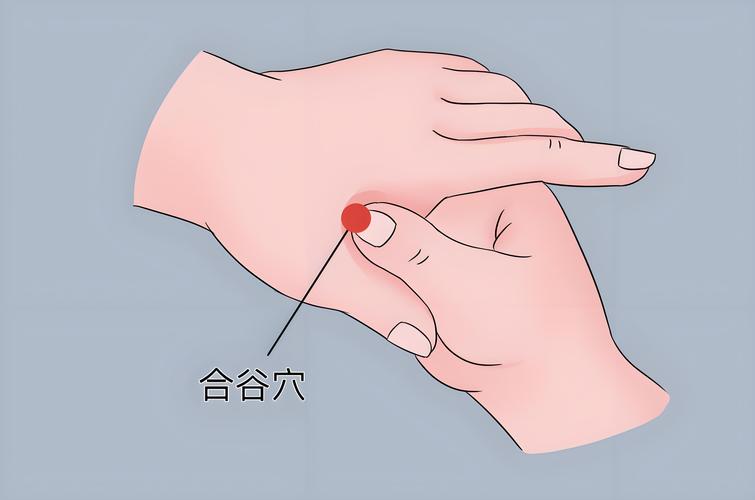 缓解怀孕恶心的穴位