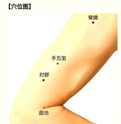 黄连敷脚的穴位退烧