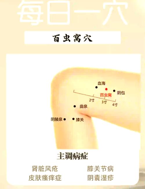 治疗皮肤疾病的穴位