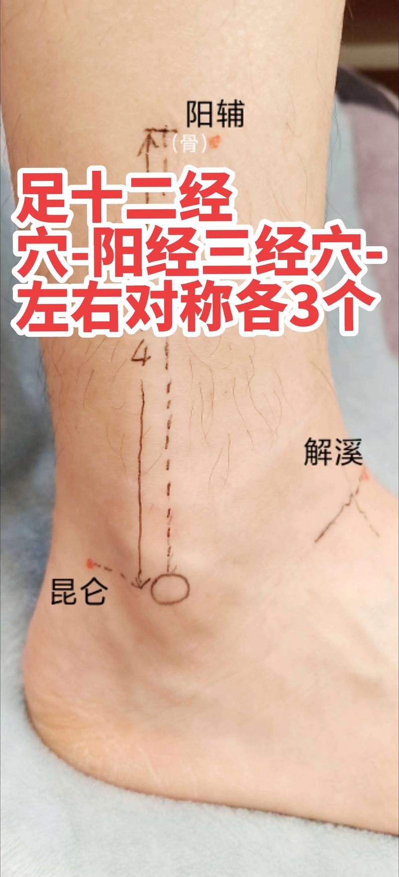 阳跷脉都有哪些穴位