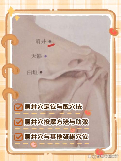 肩周炎针刺什么穴位