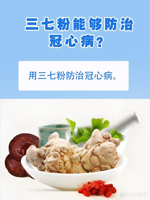 三七粉对脑梗有效果吗