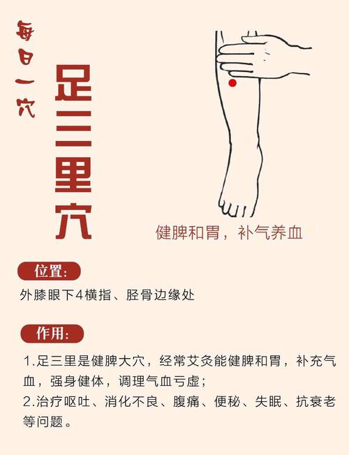 艾灸脚踝风湿的位置图