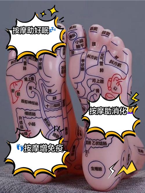 足底穴位 没有科学