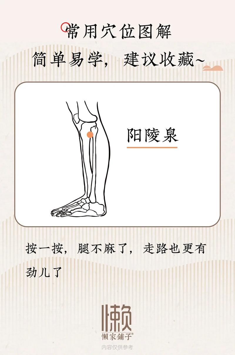 腿部风湿 按摩穴位