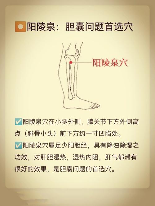 阳陵泉穴位按摩手法