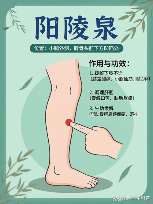 阳陵泉穴位按摩手法