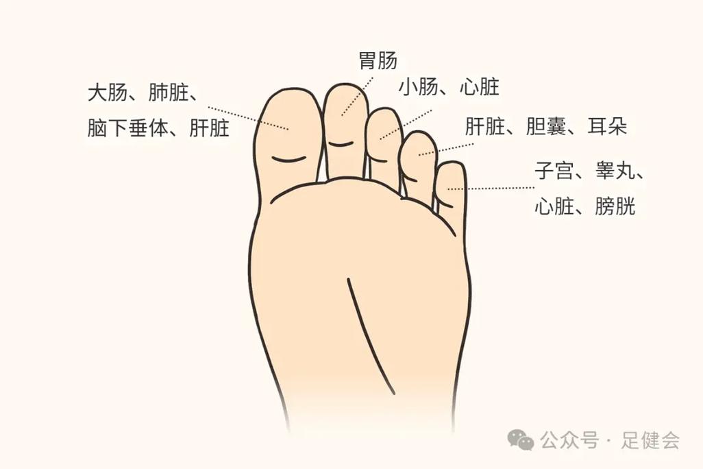 脚出汗 按摩 穴位