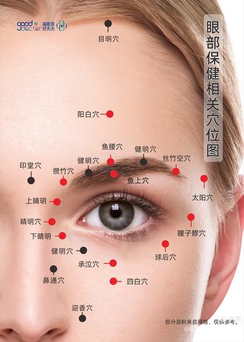 针灸穴位图 眼睛