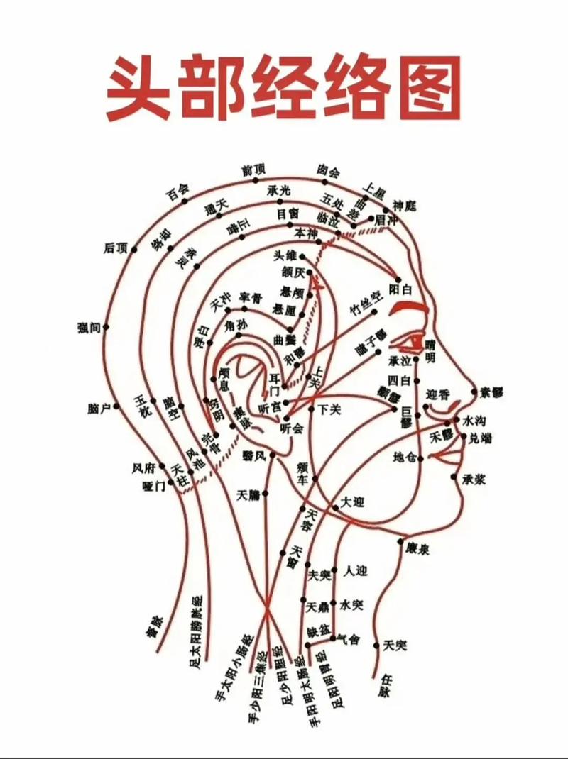 脸部穴位 经络走向