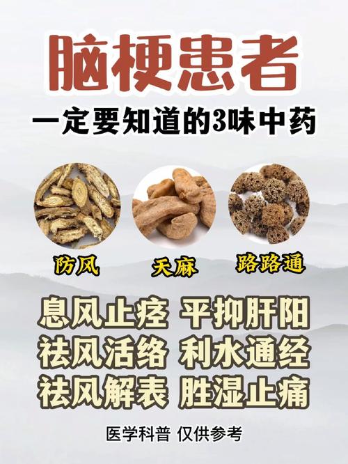 中药治疗脑梗的方剂