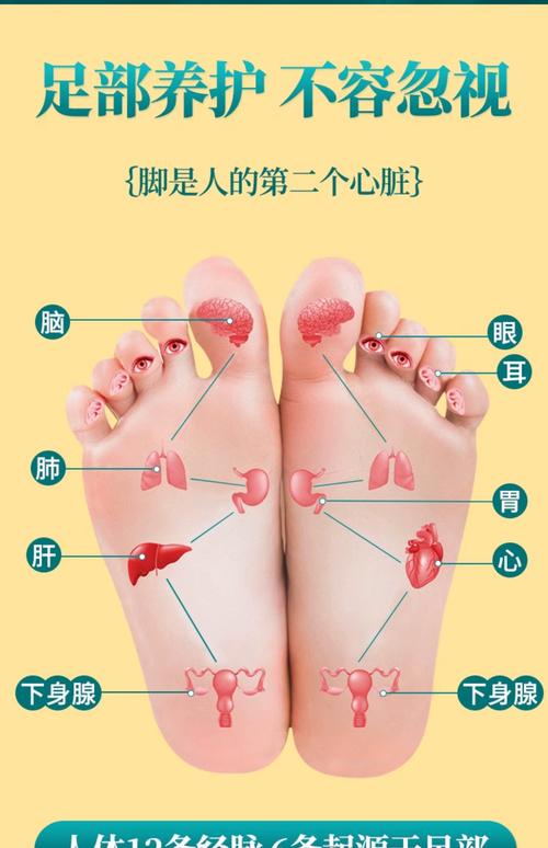 手脚穴位功能 作用